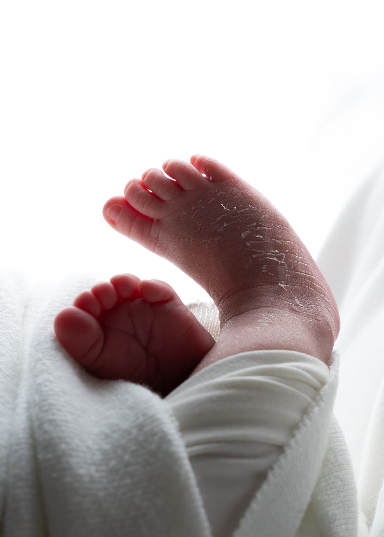 Close-up of a newborn's feet in soft white light