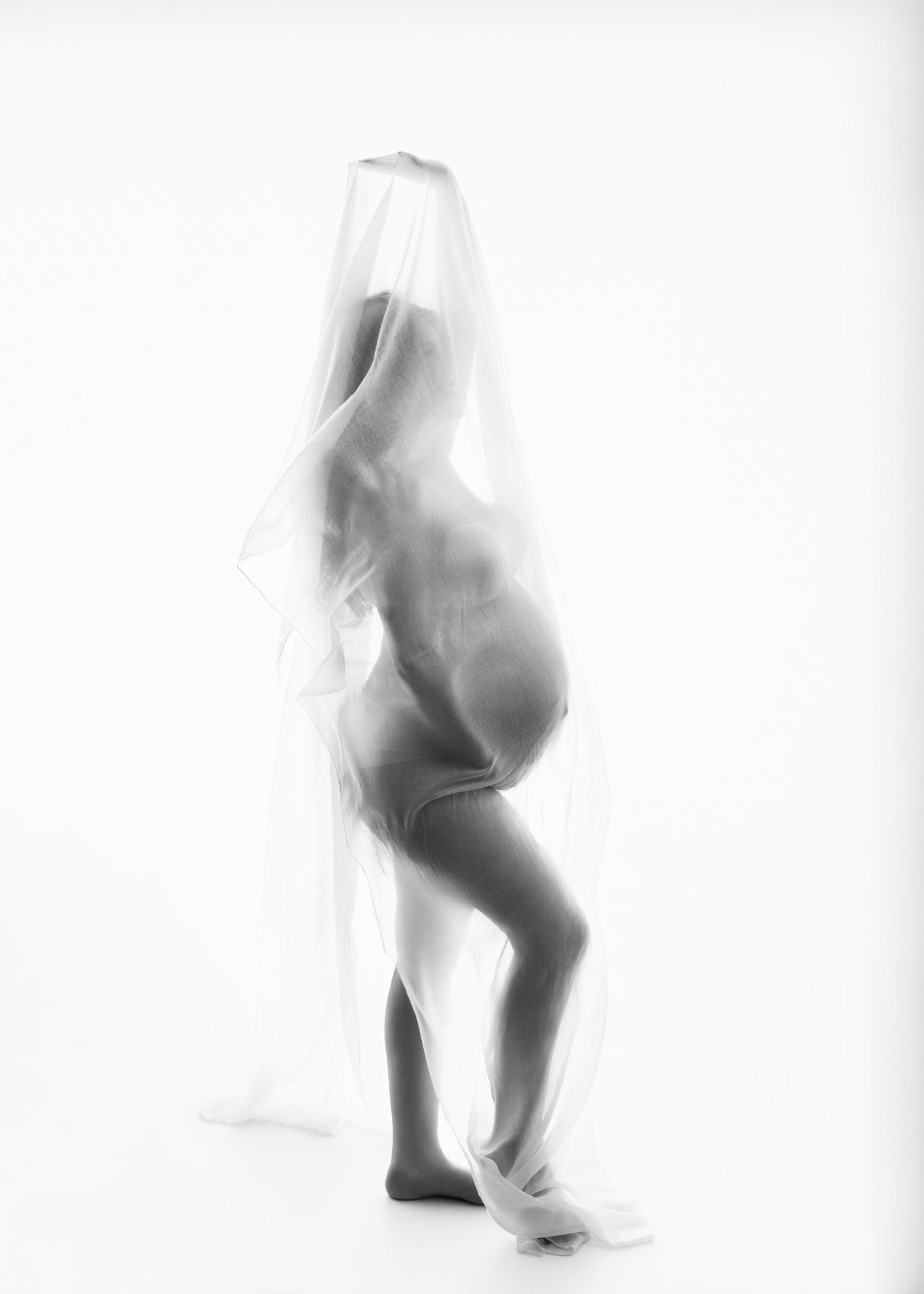 Black-and-white maternity portrait under a sheer veil